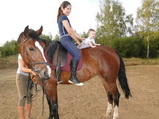 Иппотерапия: конный спорт как лекарство